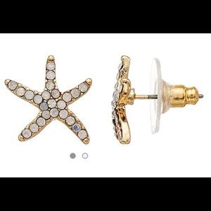 Starfish earrings